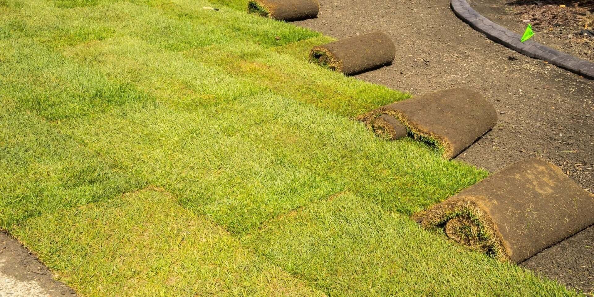 Turf-Lawn-Installation-scaled-panorama (1)